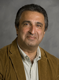 Ali Amini