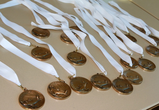 medallionawards0845