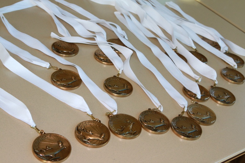 medallionawards0845.jpg