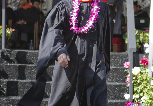 Graduation-2013-631