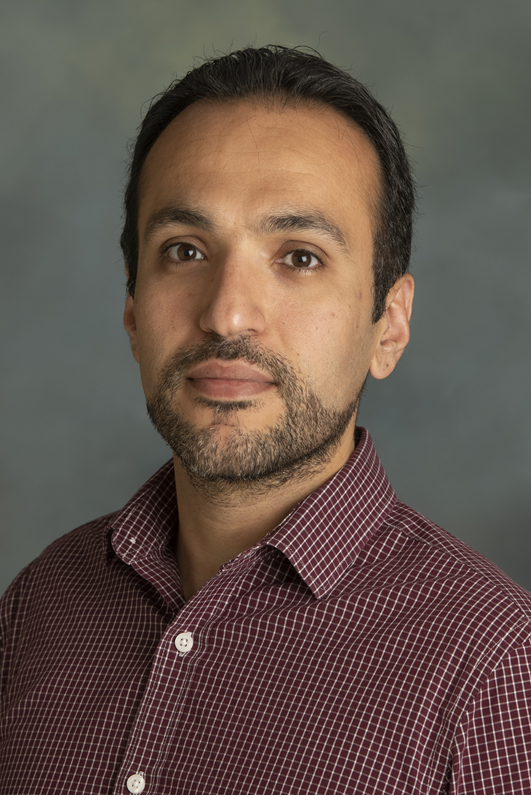 Headshot of Tohid Sardarmehni
