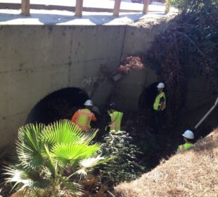 the state of California’s culverts